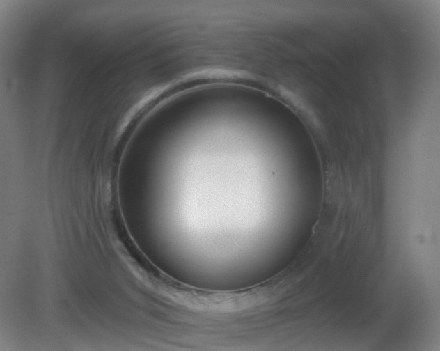 X0000081320015200701181940