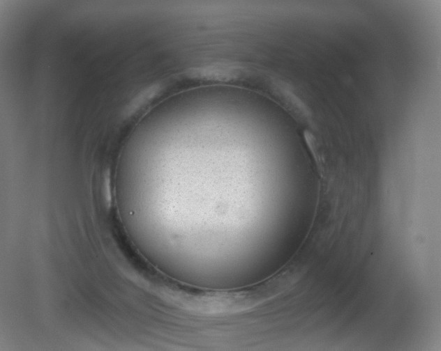 X0000081320020200701181940