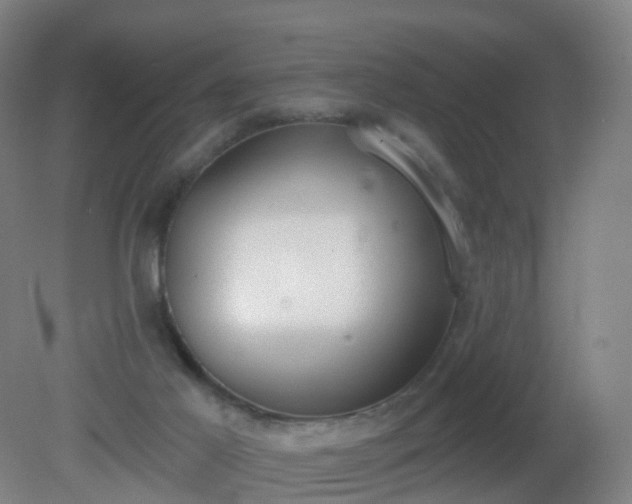X0000081320021200701181940