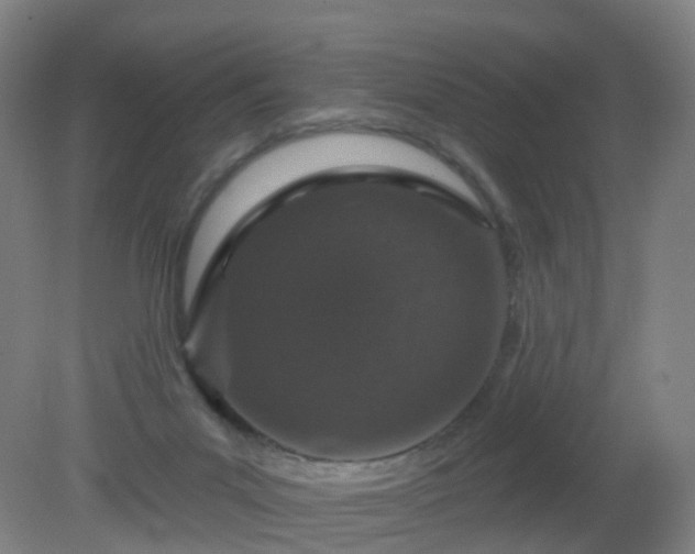 X0000081320023200701181940