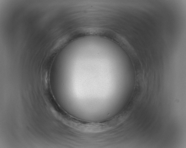 X0000081320024200701181940