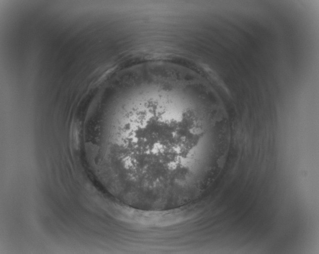 X0000081320026200701181940