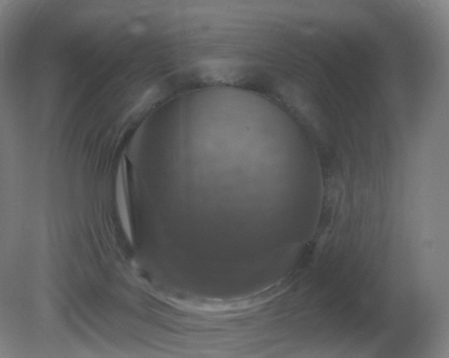 X0000081320027200701181940