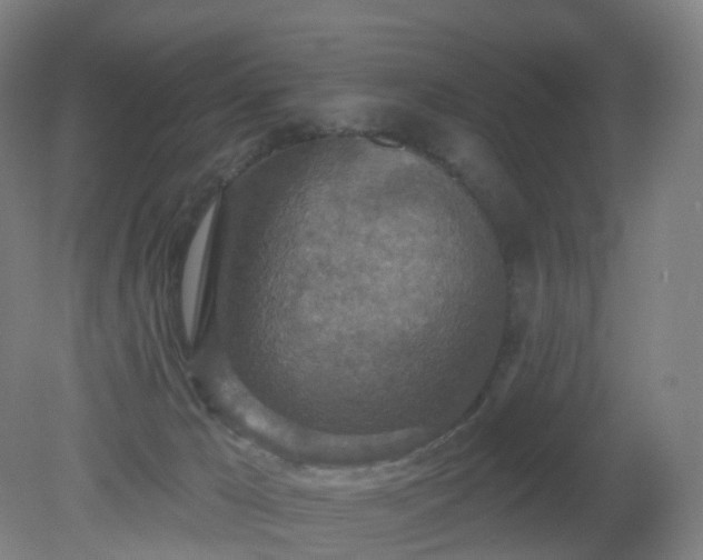 X0000081320029200701181940