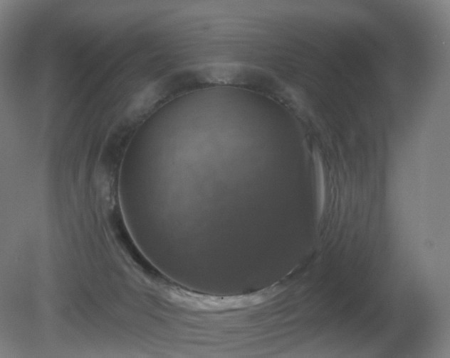 X0000081320031200701181940