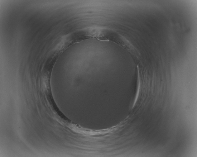 X0000081320035200701181940