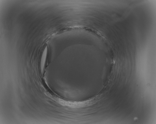X0000081320039200701181940