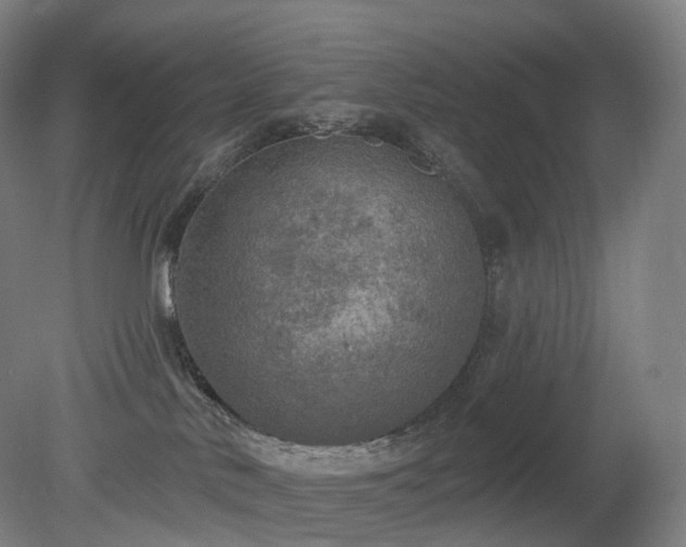 X0000081320042200701181940