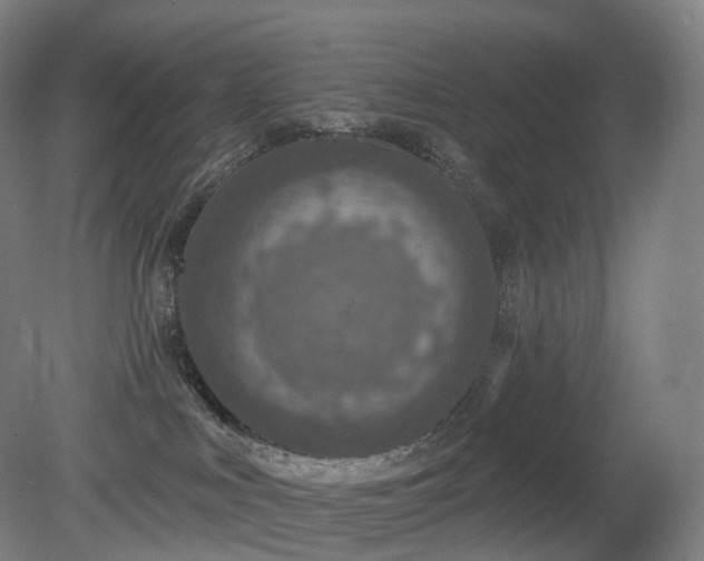 X0000081320043200701181940