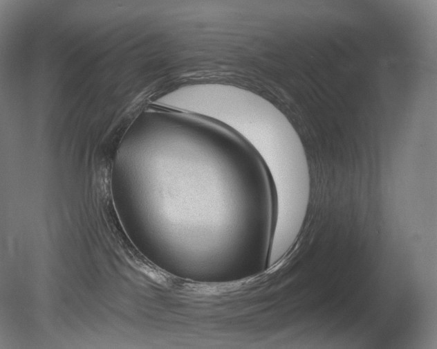 X0000081320045200701181940