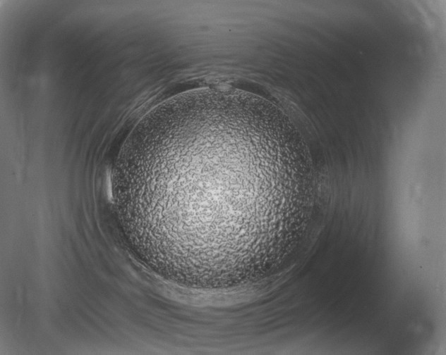 X0000081320046200701181940