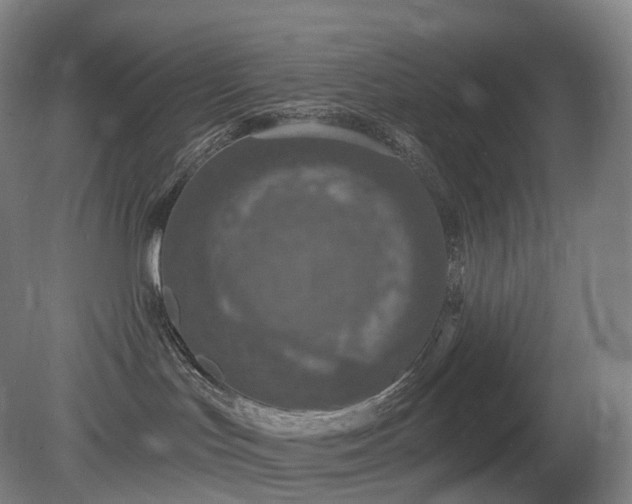 X0000081320047200701181939