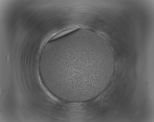 X0000081320049200701181939