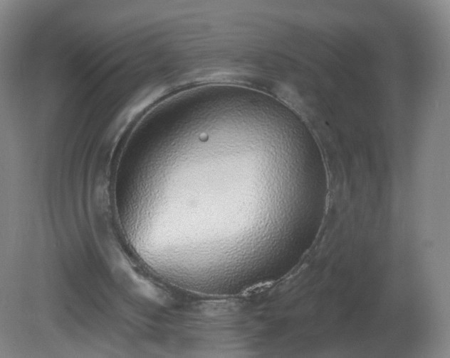 X0000081320050200701181939