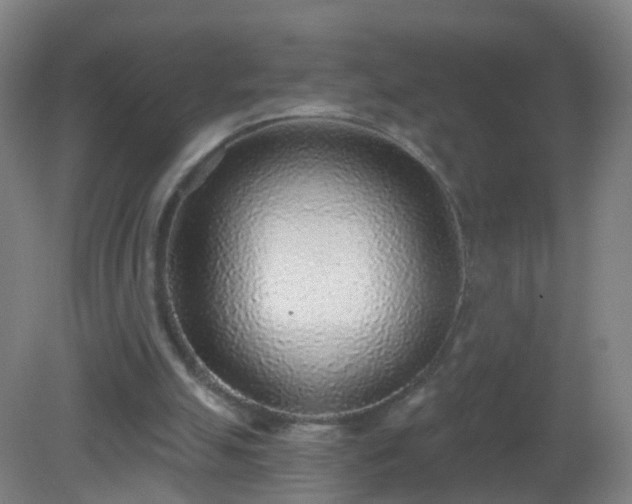X0000081320055200701181939