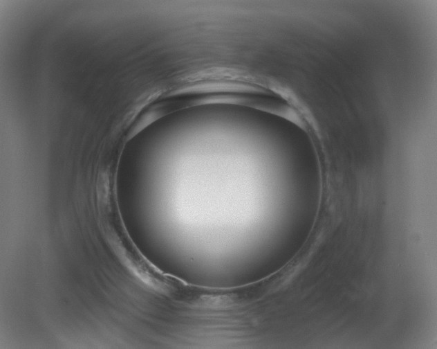 X0000081320057200701181939