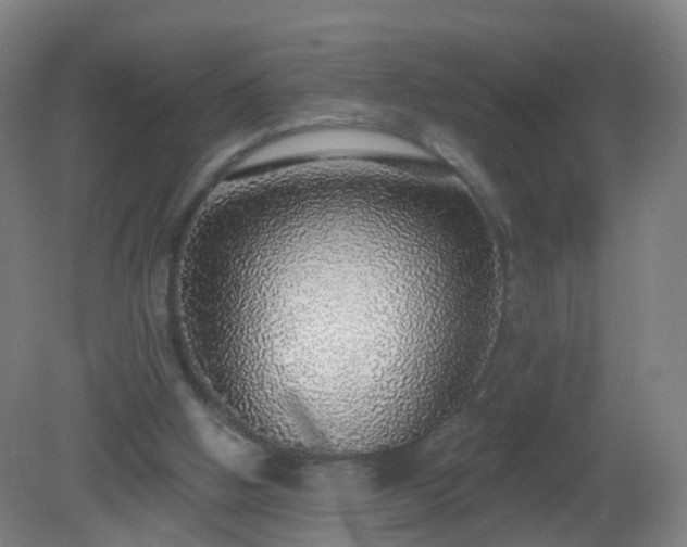 X0000081320058200701181939