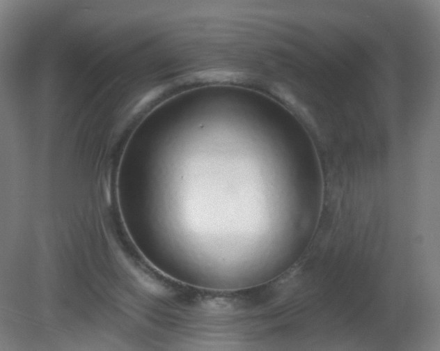 X0000081320062200701181939