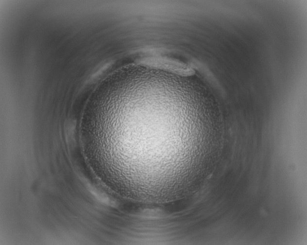 X0000081320066200701181939