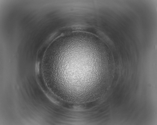 X0000081320070200701181939