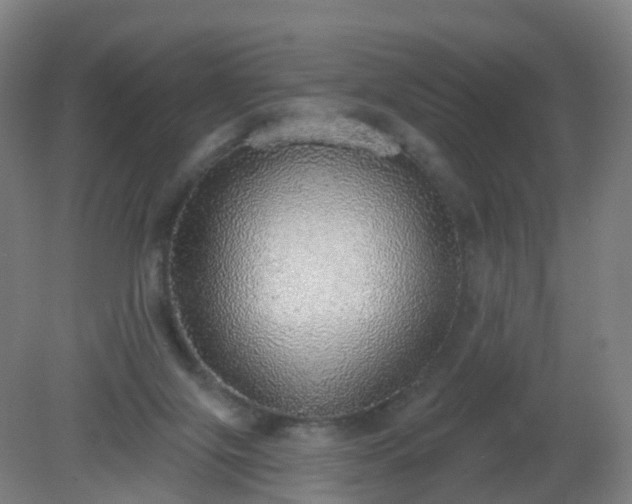 X0000081320071200701181939