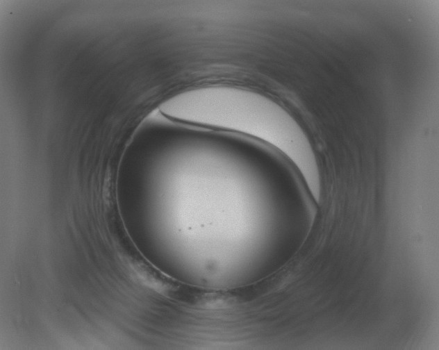 X0000081320073200701181939