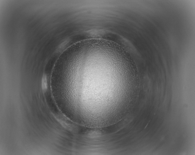 X0000081320075200701181939