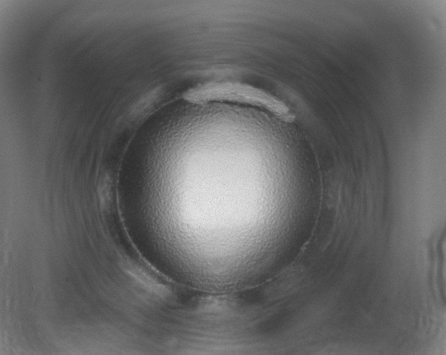 X0000081320077200701181939