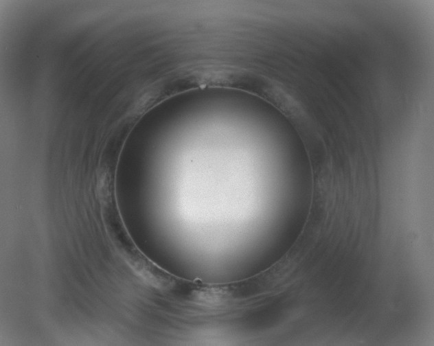 X0000081320079200701181939