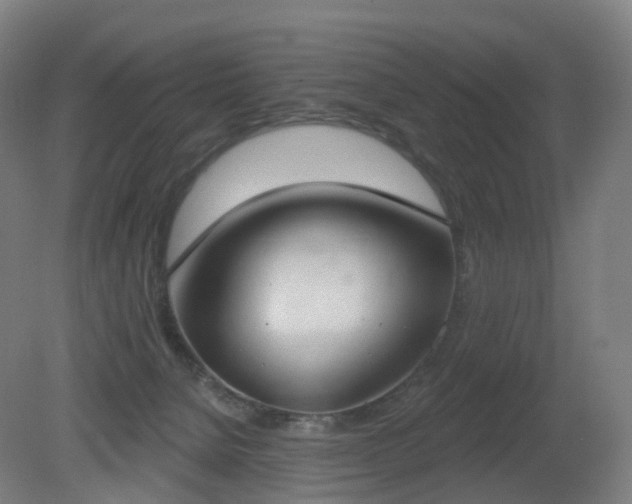 X0000081320080200701181939