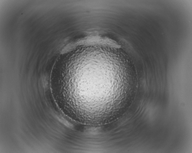 X0000081320081200701181939