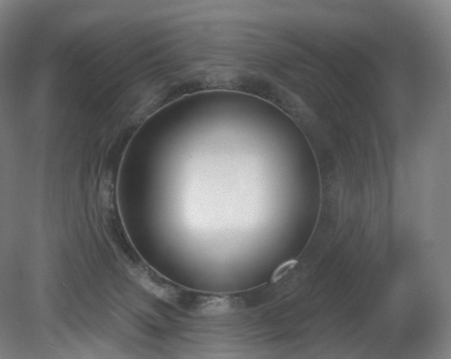 X0000081320083200701181939