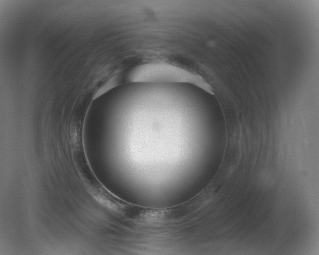 X0000081320084200701181939