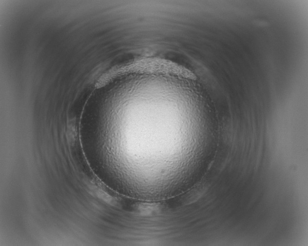 X0000081320085200701181939