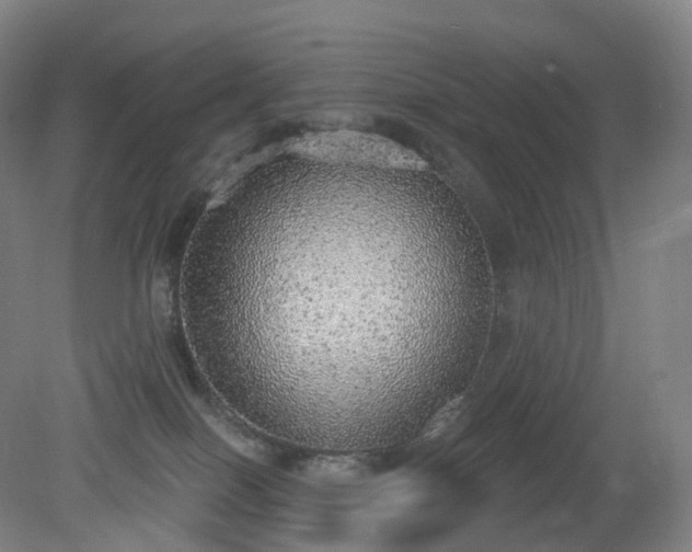 X0000081320086200701181939