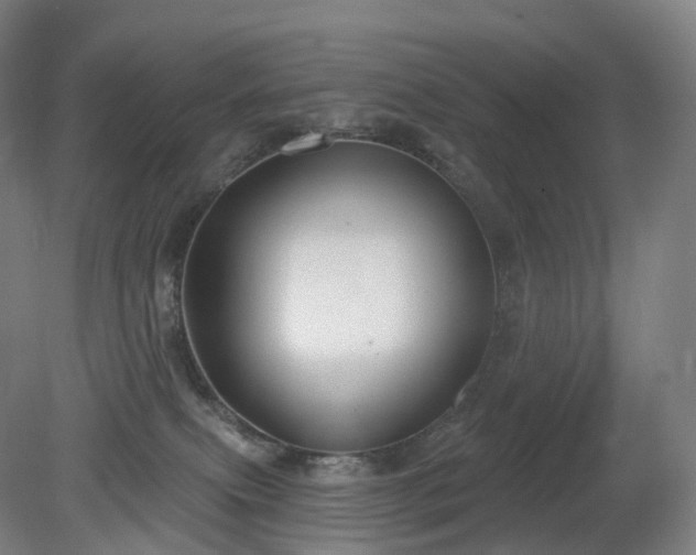 X0000081320087200701181939