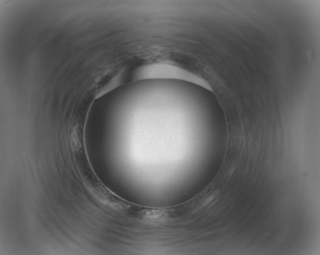 X0000081320088200701181939