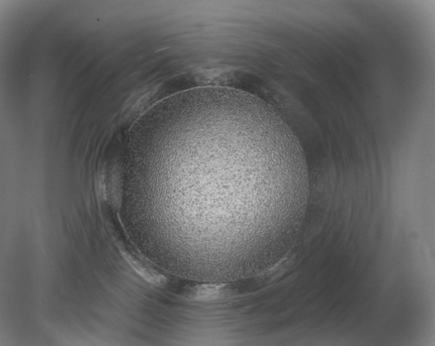 X0000081320090200701181939
