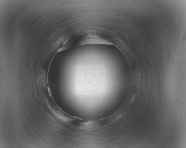 X0000081320092200701181939