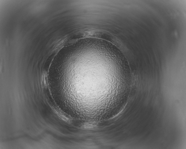 X0000081320094200701181939