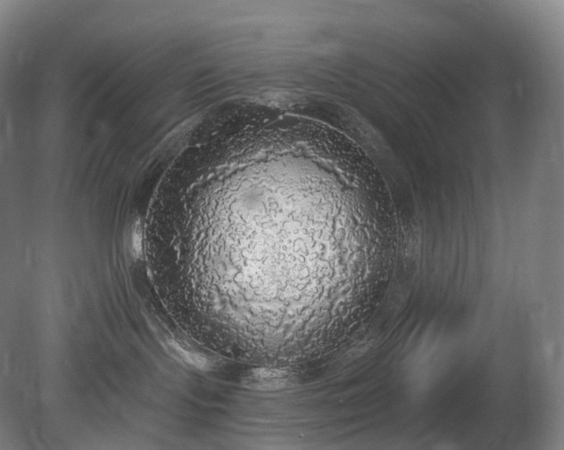 X0000081320095200701181939