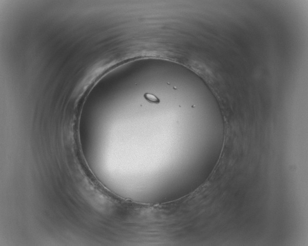 X0000081320098200701181939