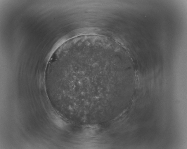 X0000081320099200701181939