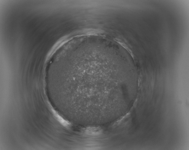 X0000081320101200701181939