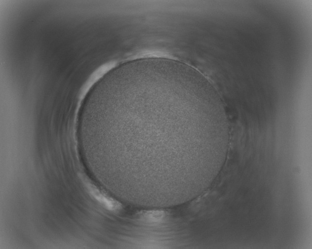 X0000081320104200701181939