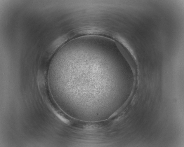 X0000081320105200701181939