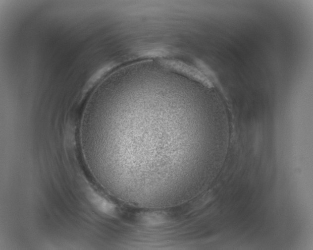 X0000081320106200701181938