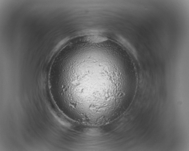X0000081320107200701181938