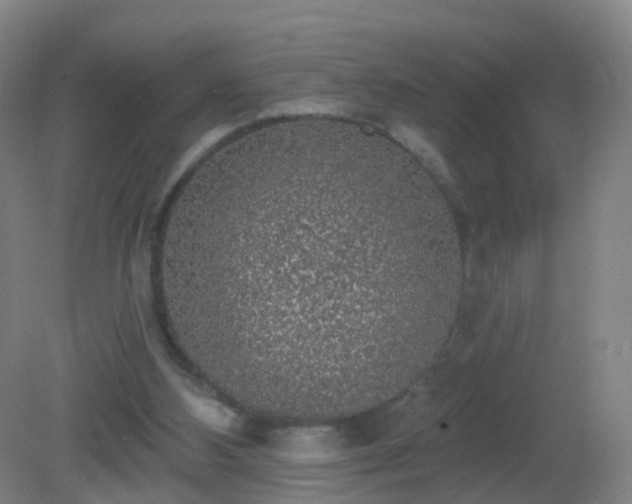 X0000081320108200701181938