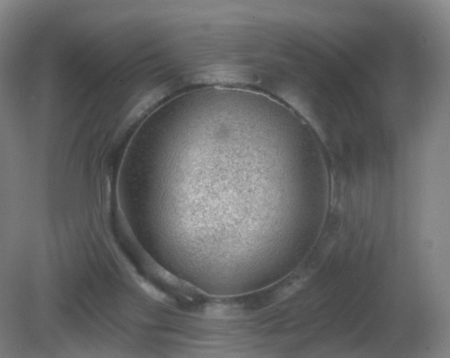 X0000081320109200701181938